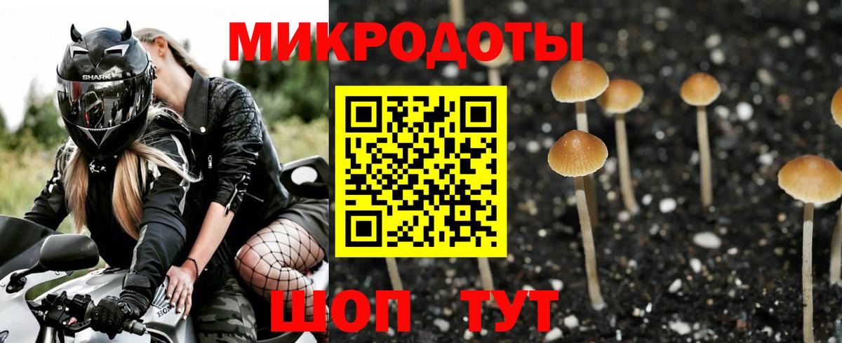 Магадан  наркота  Вход с VPN  Псилоцибиновые грибы мухоморы 